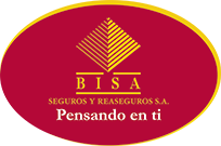 BisaSeguros.com
